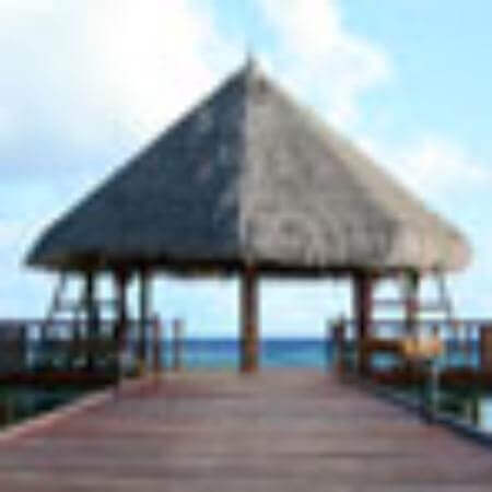 testimonial-img